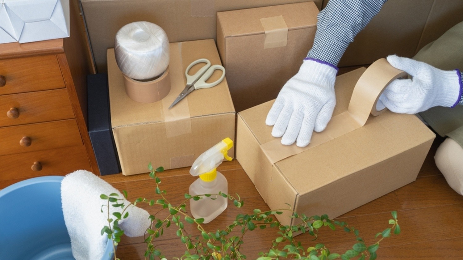 Move-In Move-Out Cleaning Services